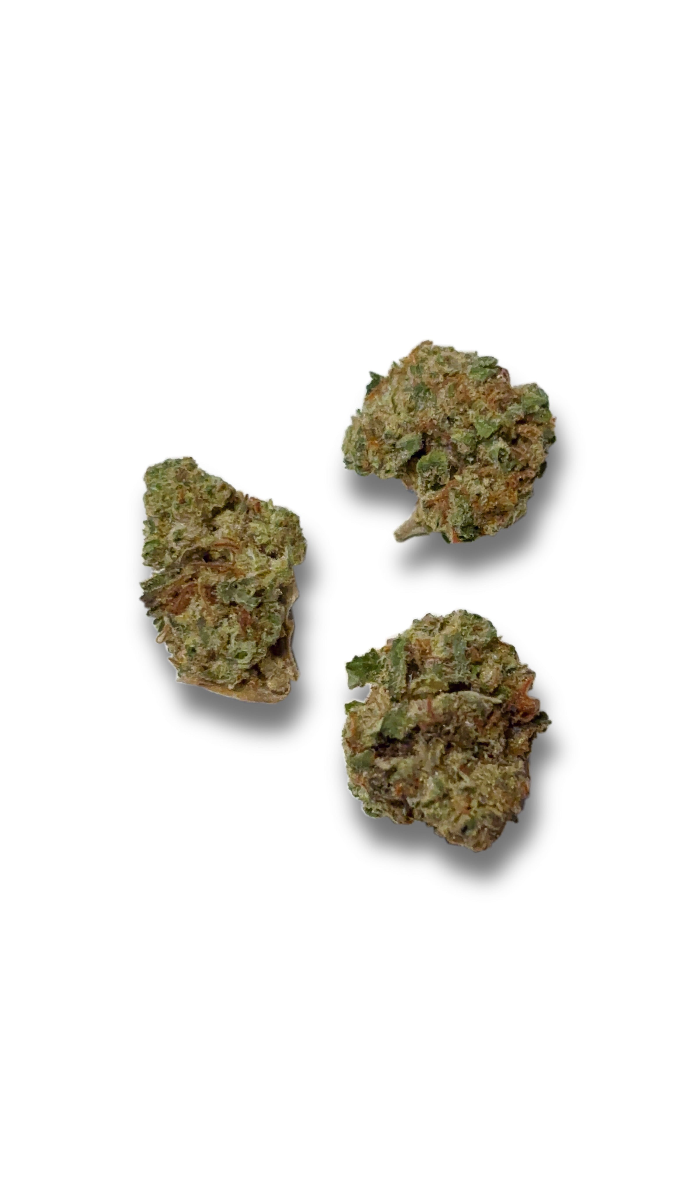 Gastro Pop “smalls” (Sativa)