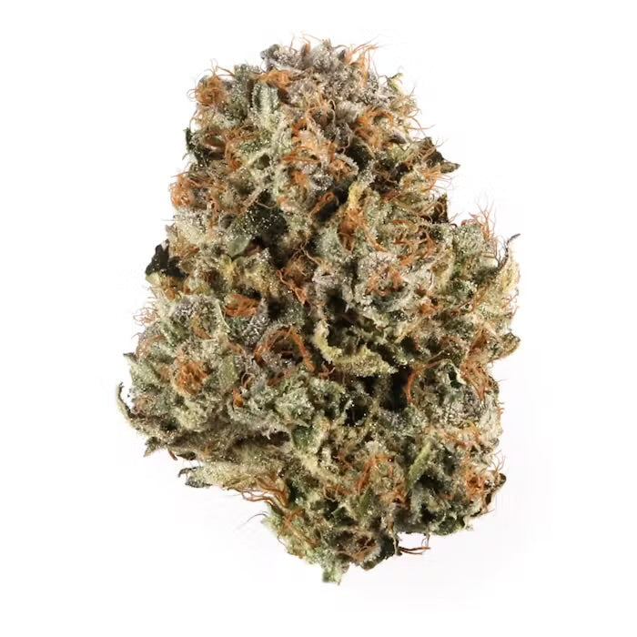 Bio Diesel