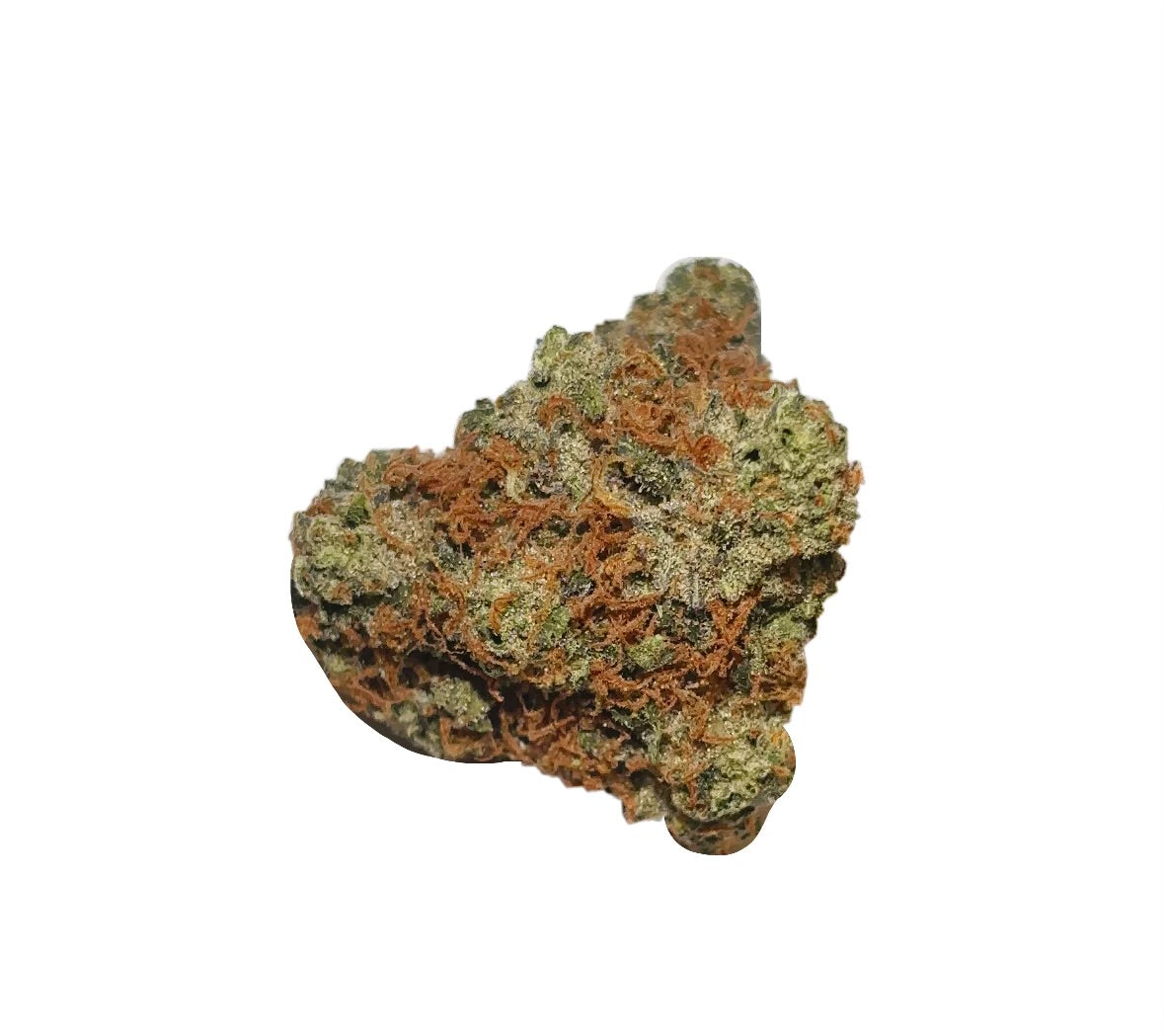 Mango Mentality (Sativa)