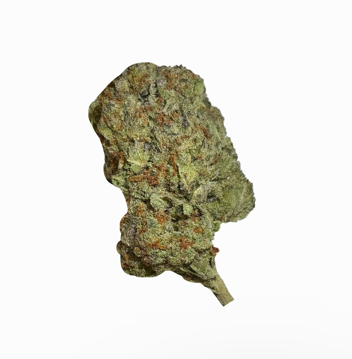 Blueberry Lemonade (Indica)