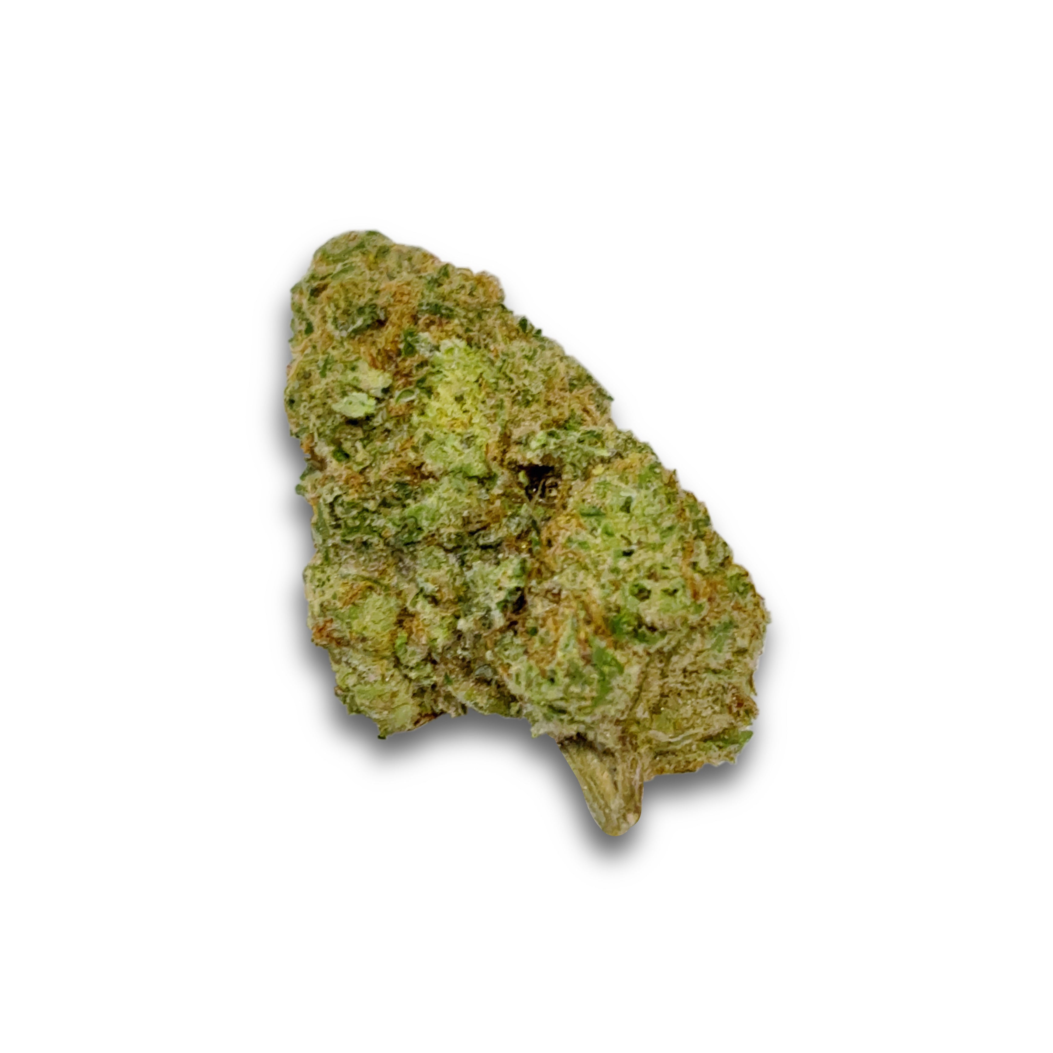 Green Slime [Sativa]