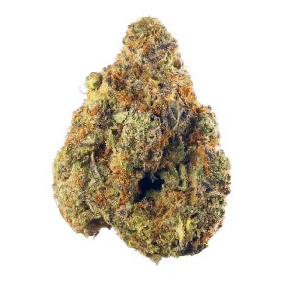 Stardawg (Hybrid)